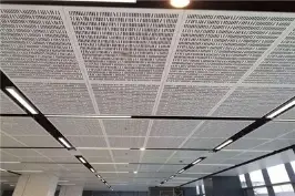Panneau mural décoratif en aluminium perforé léger pour décoration de mur-rideau