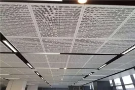 Panneau mural décoratif en aluminium perforé léger pour décoration de façade rideau — Foshan Qi Aluminum Decorative Materials Co., Ltd