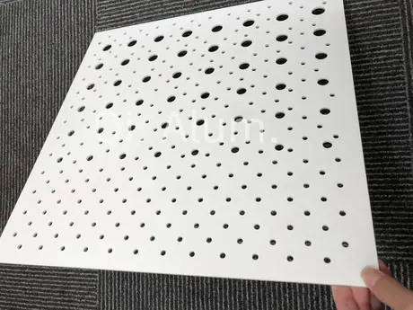 Vue extérieure décorative d'un panneau de façade architectural moderne en aluminium perforé solide 9